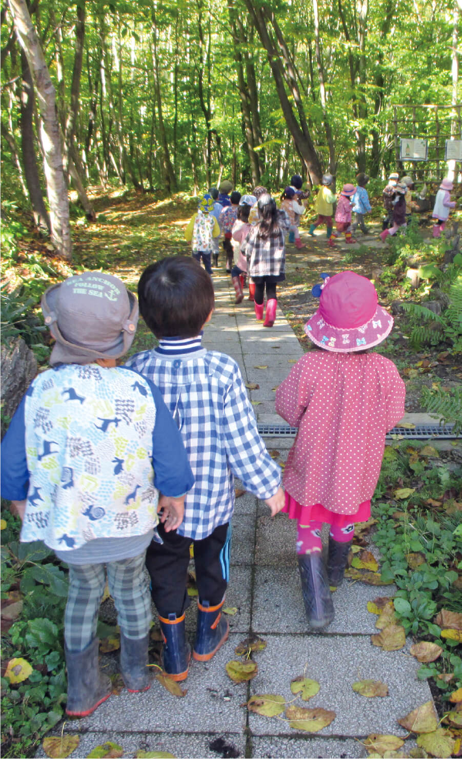認定こども園 札幌自由の森幼稚園・保育園